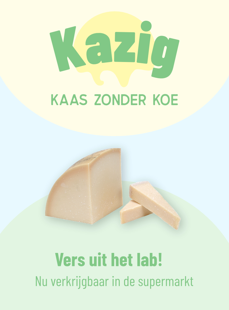 Advertentie Kazig